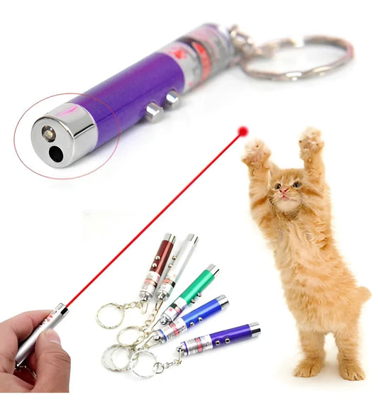 Laser Interativo Pet